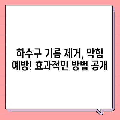 대전시 유성구 온천1동 하수구막힘 | 가격 | 비용 | 기름제거 | 싱크대 | 변기 | 세면대 | 역류 | 냄새차단 | 2024 후기