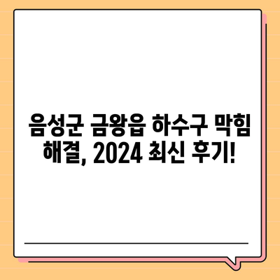 충청북도 음성군 금왕읍 하수구막힘 | 가격 | 비용 | 기름제거 | 싱크대 | 변기 | 세면대 | 역류 | 냄새차단 | 2024 후기