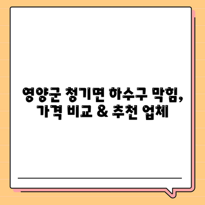 경상북도 영양군 청기면 하수구막힘 | 가격 | 비용 | 기름제거 | 싱크대 | 변기 | 세면대 | 역류 | 냄새차단 | 2024 후기