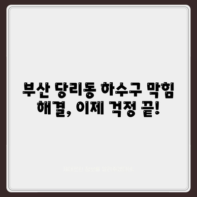 부산시 사하구 당리동 하수구막힘 | 가격 | 비용 | 기름제거 | 싱크대 | 변기 | 세면대 | 역류 | 냄새차단 | 2024 후기