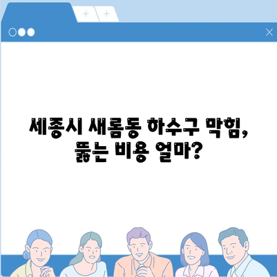 세종시 세종특별자치시 새롬동 하수구막힘 | 가격 | 비용 | 기름제거 | 싱크대 | 변기 | 세면대 | 역류 | 냄새차단 | 2024 후기