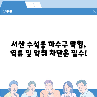 충청남도 서산시 수석동 하수구막힘 | 가격 | 비용 | 기름제거 | 싱크대 | 변기 | 세면대 | 역류 | 냄새차단 | 2024 후기