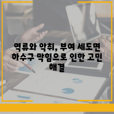 충청남도 부여군 세도면 하수구막힘 | 가격 | 비용 | 기름제거 | 싱크대 | 변기 | 세면대 | 역류 | 냄새차단 | 2024 후기