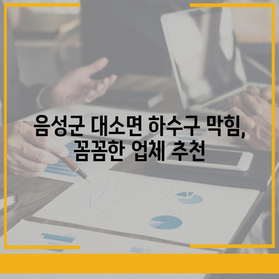 충청북도 음성군 대소면 하수구막힘 | 가격 | 비용 | 기름제거 | 싱크대 | 변기 | 세면대 | 역류 | 냄새차단 | 2024 후기