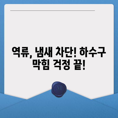 강원도 양양군 양양읍 하수구막힘 | 가격 | 비용 | 기름제거 | 싱크대 | 변기 | 세면대 | 역류 | 냄새차단 | 2024 후기