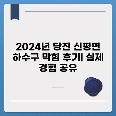 충청남도 당진시 신평면 하수구막힘 | 가격 | 비용 | 기름제거 | 싱크대 | 변기 | 세면대 | 역류 | 냄새차단 | 2024 후기