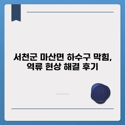 충청남도 서천군 마산면 하수구막힘 | 가격 | 비용 | 기름제거 | 싱크대 | 변기 | 세면대 | 역류 | 냄새차단 | 2024 후기