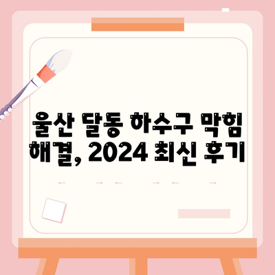 울산시 남구 달동 하수구막힘 | 가격 | 비용 | 기름제거 | 싱크대 | 변기 | 세면대 | 역류 | 냄새차단 | 2024 후기