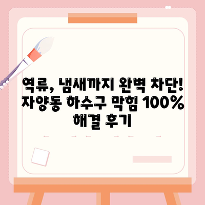 대전시 동구 자양동 하수구막힘 | 가격 | 비용 | 기름제거 | 싱크대 | 변기 | 세면대 | 역류 | 냄새차단 | 2024 후기