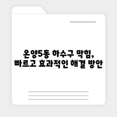 충청남도 아산시 온양5동 하수구막힘 | 가격 | 비용 | 기름제거 | 싱크대 | 변기 | 세면대 | 역류 | 냄새차단 | 2024 후기