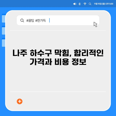 전라남도 나주시 금남동 하수구막힘 | 가격 | 비용 | 기름제거 | 싱크대 | 변기 | 세면대 | 역류 | 냄새차단 | 2024 후기