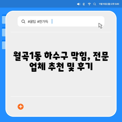 광주시 광산구 월곡1동 하수구막힘 | 가격 | 비용 | 기름제거 | 싱크대 | 변기 | 세면대 | 역류 | 냄새차단 | 2024 후기