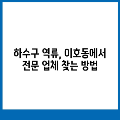 제주도 제주시 이호동 하수구막힘 | 가격 | 비용 | 기름제거 | 싱크대 | 변기 | 세면대 | 역류 | 냄새차단 | 2024 후기