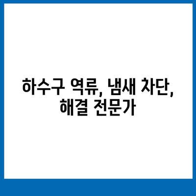 충청북도 음성군 대소면 하수구막힘 | 가격 | 비용 | 기름제거 | 싱크대 | 변기 | 세면대 | 역류 | 냄새차단 | 2024 후기