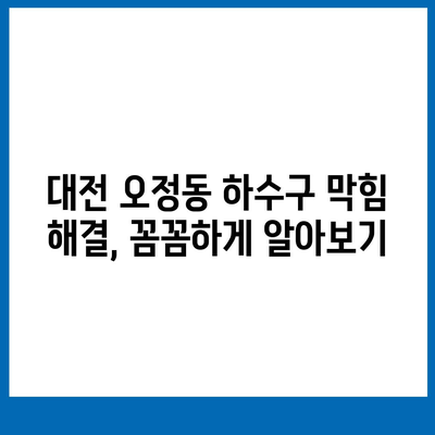 대전시 대덕구 오정동 하수구막힘 | 가격 | 비용 | 기름제거 | 싱크대 | 변기 | 세면대 | 역류 | 냄새차단 | 2024 후기