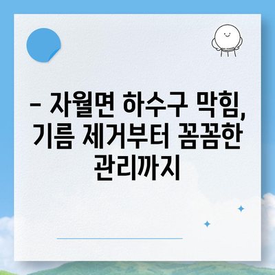 인천시 옹진군 자월면 하수구막힘 | 가격 | 비용 | 기름제거 | 싱크대 | 변기 | 세면대 | 역류 | 냄새차단 | 2024 후기