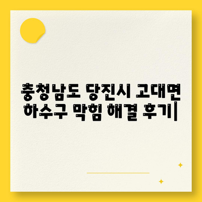 충청남도 당진시 고대면 하수구막힘 | 가격 | 비용 | 기름제거 | 싱크대 | 변기 | 세면대 | 역류 | 냄새차단 | 2024 후기