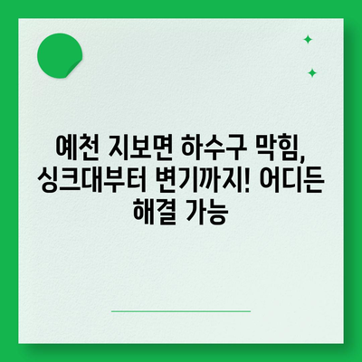 경상북도 예천군 지보면 하수구막힘 | 가격 | 비용 | 기름제거 | 싱크대 | 변기 | 세면대 | 역류 | 냄새차단 | 2024 후기