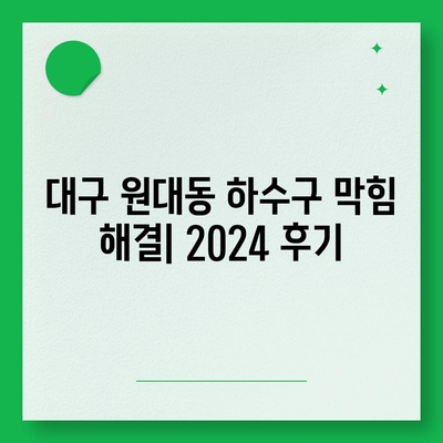 대구시 서구 원대동 하수구막힘 | 가격 | 비용 | 기름제거 | 싱크대 | 변기 | 세면대 | 역류 | 냄새차단 | 2024 후기