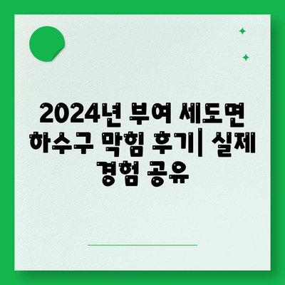 충청남도 부여군 세도면 하수구막힘 | 가격 | 비용 | 기름제거 | 싱크대 | 변기 | 세면대 | 역류 | 냄새차단 | 2024 후기