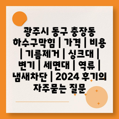 광주시 동구 충장동 하수구막힘 | 가격 | 비용 | 기름제거 | 싱크대 | 변기 | 세면대 | 역류 | 냄새차단 | 2024 후기