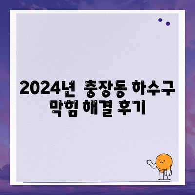 광주시 동구 충장동 하수구막힘 | 가격 | 비용 | 기름제거 | 싱크대 | 변기 | 세면대 | 역류 | 냄새차단 | 2024 후기