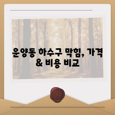 경기도 김포시 운양동 하수구막힘 | 가격 | 비용 | 기름제거 | 싱크대 | 변기 | 세면대 | 역류 | 냄새차단 | 2024 후기