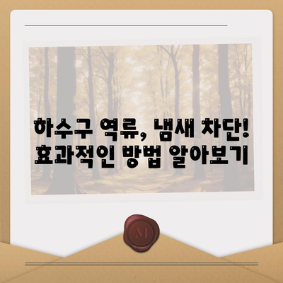 전라남도 화순군 남면 하수구막힘 | 가격 | 비용 | 기름제거 | 싱크대 | 변기 | 세면대 | 역류 | 냄새차단 | 2024 후기