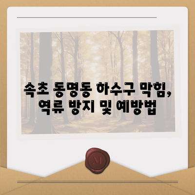 강원도 속초시 동명동 하수구막힘 | 가격 | 비용 | 기름제거 | 싱크대 | 변기 | 세면대 | 역류 | 냄새차단 | 2024 후기