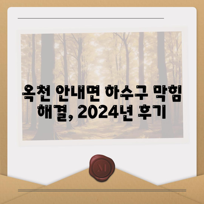 충청북도 옥천군 안내면 하수구막힘 | 가격 | 비용 | 기름제거 | 싱크대 | 변기 | 세면대 | 역류 | 냄새차단 | 2024 후기