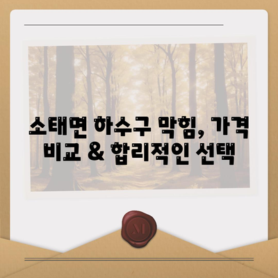 충청북도 충주시 소태면 하수구막힘 | 가격 | 비용 | 기름제거 | 싱크대 | 변기 | 세면대 | 역류 | 냄새차단 | 2024 후기