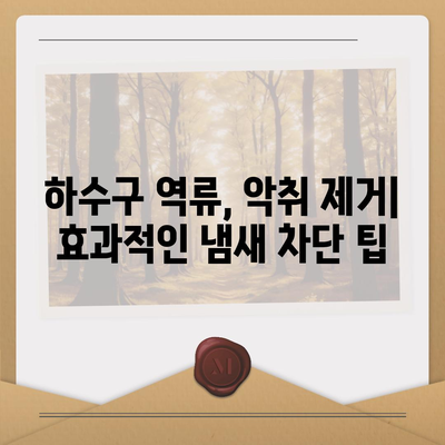 경상남도 의령군 지정면 하수구막힘 | 가격 | 비용 | 기름제거 | 싱크대 | 변기 | 세면대 | 역류 | 냄새차단 | 2024 후기