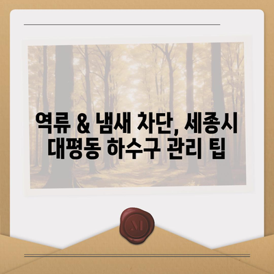 세종시 세종특별자치시 대평동 하수구막힘 | 가격 | 비용 | 기름제거 | 싱크대 | 변기 | 세면대 | 역류 | 냄새차단 | 2024 후기