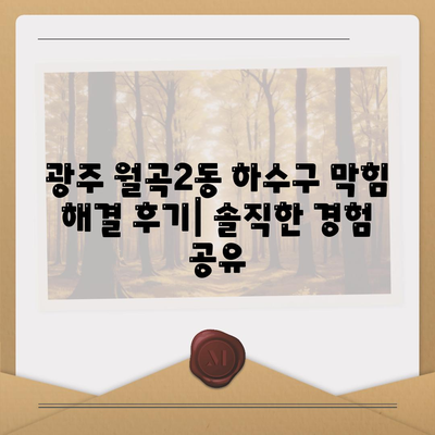 광주시 광산구 월곡2동 하수구막힘 | 가격 | 비용 | 기름제거 | 싱크대 | 변기 | 세면대 | 역류 | 냄새차단 | 2024 후기