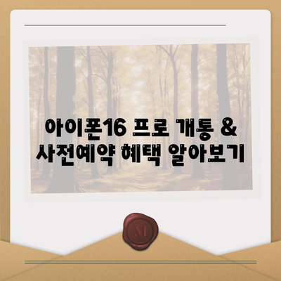 대전시 서구 갈마2동 아이폰16 프로 사전예약 | 출시일 | 가격 | PRO | SE1 | 디자인 | 프로맥스 | 색상 | 미니 | 개통