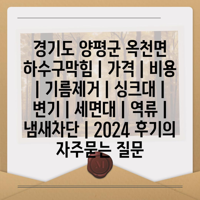 경기도 양평군 옥천면 하수구막힘 | 가격 | 비용 | 기름제거 | 싱크대 | 변기 | 세면대 | 역류 | 냄새차단 | 2024 후기