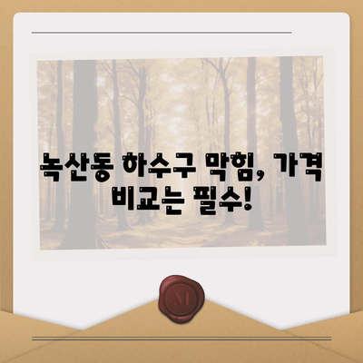 부산시 강서구 녹산동 하수구막힘 | 가격 | 비용 | 기름제거 | 싱크대 | 변기 | 세면대 | 역류 | 냄새차단 | 2024 후기