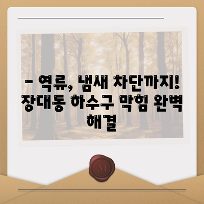 대전시 유성구 장대동 하수구막힘 | 가격 | 비용 | 기름제거 | 싱크대 | 변기 | 세면대 | 역류 | 냄새차단 | 2024 후기