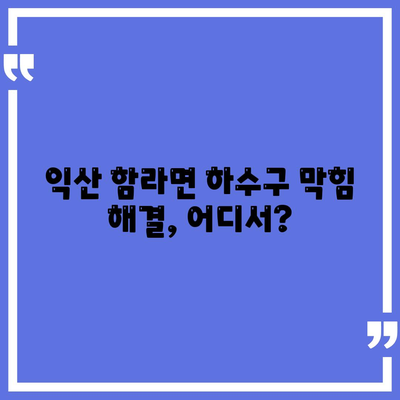 전라북도 익산시 함라면 하수구막힘 | 가격 | 비용 | 기름제거 | 싱크대 | 변기 | 세면대 | 역류 | 냄새차단 | 2024 후기