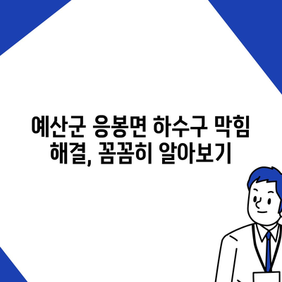 충청남도 예산군 응봉면 하수구막힘 | 가격 | 비용 | 기름제거 | 싱크대 | 변기 | 세면대 | 역류 | 냄새차단 | 2024 후기