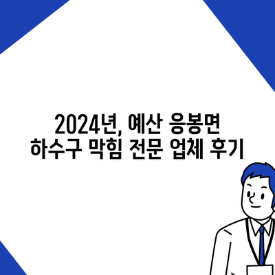 충청남도 예산군 응봉면 하수구막힘 | 가격 | 비용 | 기름제거 | 싱크대 | 변기 | 세면대 | 역류 | 냄새차단 | 2024 후기