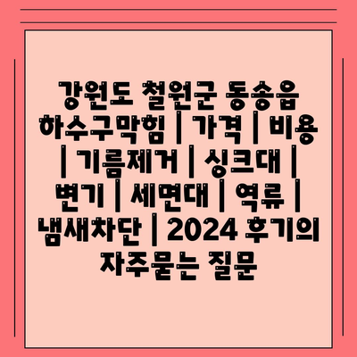 강원도 철원군 동송읍 하수구막힘 | 가격 | 비용 | 기름제거 | 싱크대 | 변기 | 세면대 | 역류 | 냄새차단 | 2024 후기