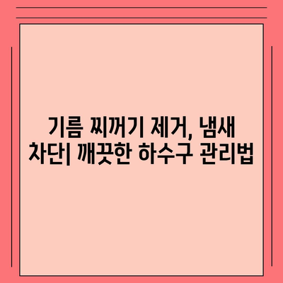 대구시 서구 원대동 하수구막힘 | 가격 | 비용 | 기름제거 | 싱크대 | 변기 | 세면대 | 역류 | 냄새차단 | 2024 후기