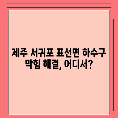 제주도 서귀포시 표선면 하수구막힘 | 가격 | 비용 | 기름제거 | 싱크대 | 변기 | 세면대 | 역류 | 냄새차단 | 2024 후기