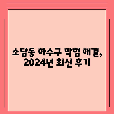 세종시 세종특별자치시 소담동 하수구막힘 | 가격 | 비용 | 기름제거 | 싱크대 | 변기 | 세면대 | 역류 | 냄새차단 | 2024 후기