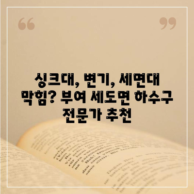 충청남도 부여군 세도면 하수구막힘 | 가격 | 비용 | 기름제거 | 싱크대 | 변기 | 세면대 | 역류 | 냄새차단 | 2024 후기