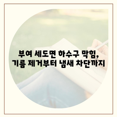 충청남도 부여군 세도면 하수구막힘 | 가격 | 비용 | 기름제거 | 싱크대 | 변기 | 세면대 | 역류 | 냄새차단 | 2024 후기