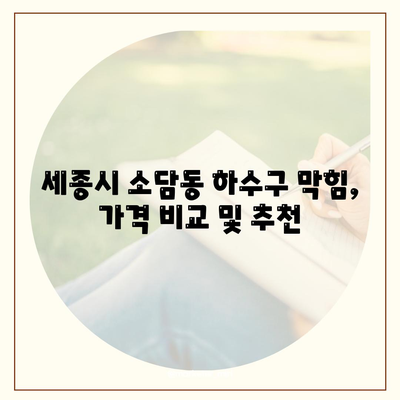 세종시 세종특별자치시 소담동 하수구막힘 | 가격 | 비용 | 기름제거 | 싱크대 | 변기 | 세면대 | 역류 | 냄새차단 | 2024 후기