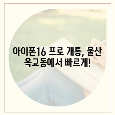 울산시 중구 옥교동 아이폰16 프로 사전예약 | 출시일 | 가격 | PRO | SE1 | 디자인 | 프로맥스 | 색상 | 미니 | 개통