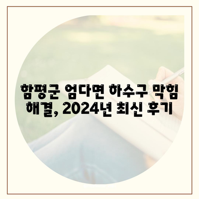 전라남도 함평군 엄다면 하수구막힘 | 가격 | 비용 | 기름제거 | 싱크대 | 변기 | 세면대 | 역류 | 냄새차단 | 2024 후기